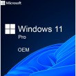 Неисключительные права (OEM) Win 11 Pro 64bit RU